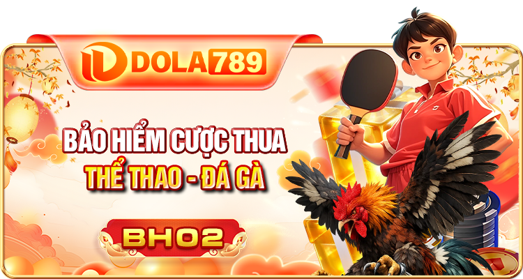 bảo hiểm đá gà
