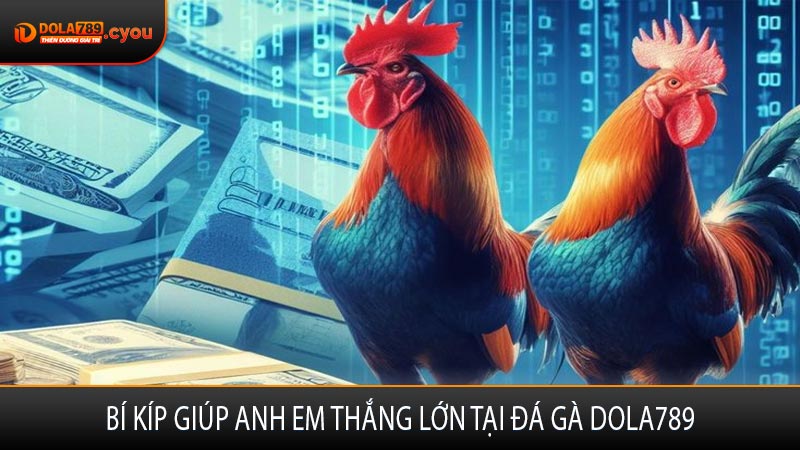 Bí kíp giúp anh em thắng lớn tại đá gà Dola789