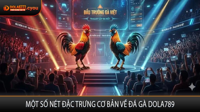 Một số nét đặc trưng cơ bản về đá gà Dola789