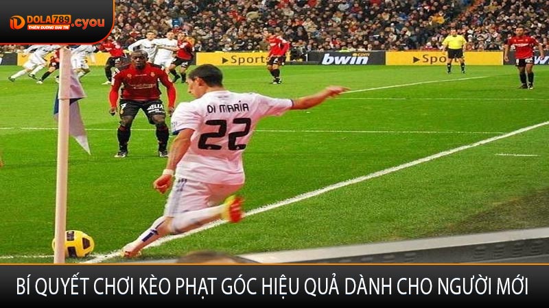Bí quyết chơi kèo phạt góc hiệu quả dành cho người mới